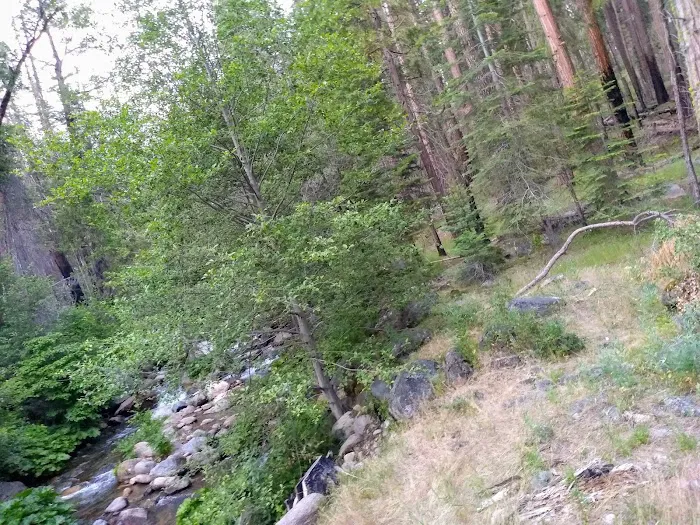 Joe Walt Run Campground Picture 6