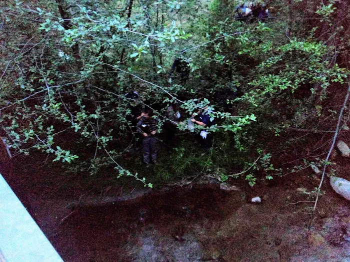 Joe Walt Run Campground Picture 7