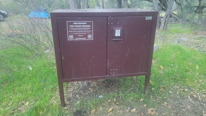 Lumsden Campground Picture 9