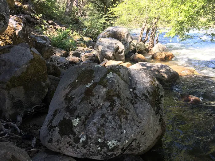 Lumsden Campground Picture 6