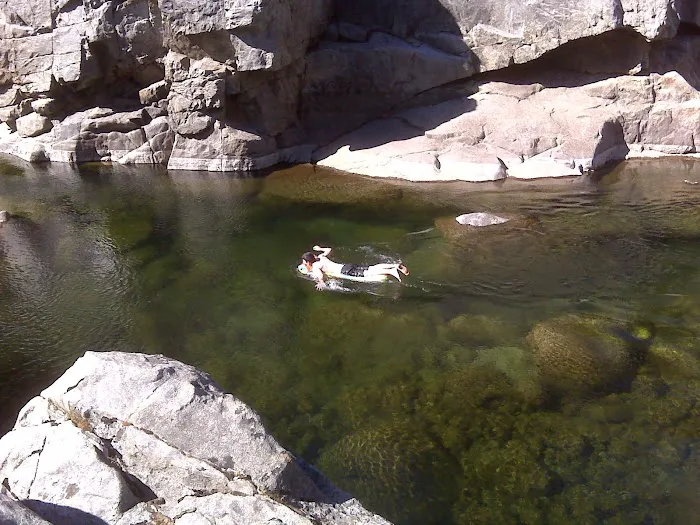 Lumsden Bridge Campground Picture 2