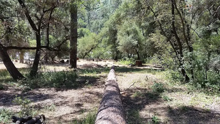 Lumsden Bridge Campground Picture 6