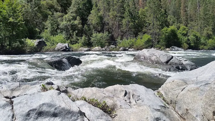 Lumsden Bridge Campground Picture 9