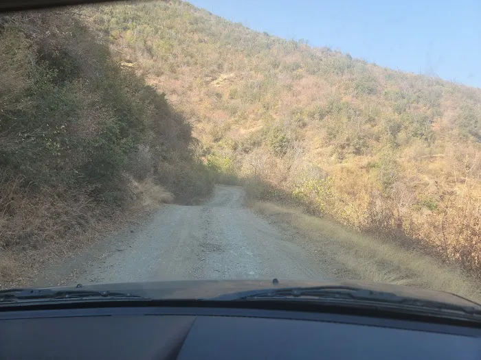 Lumsden Bridge Campground Picture 8