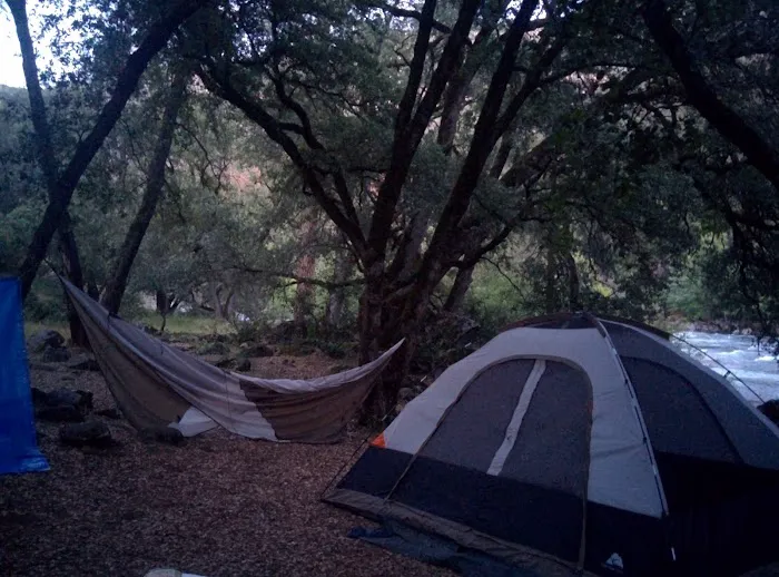 Lumsden Bridge Campground Picture 10
