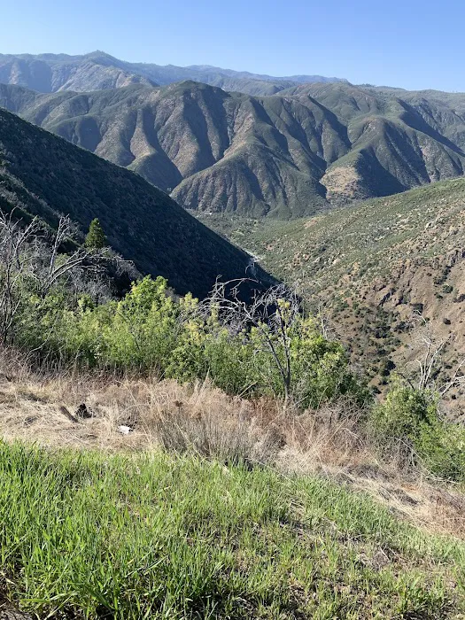 South Fork Campground Picture 1