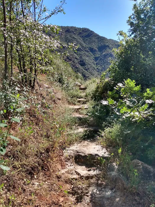 South Fork Campground Picture 5