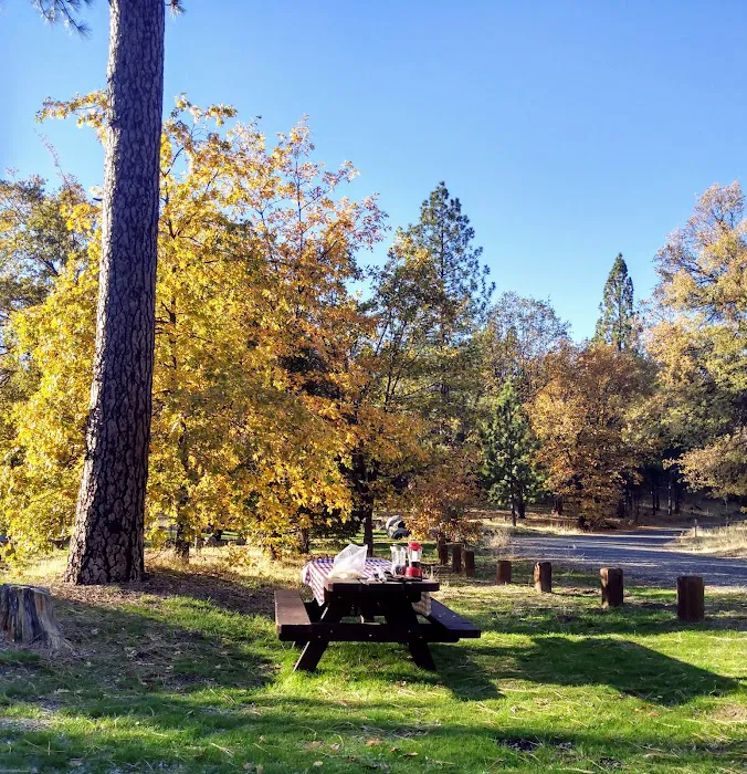 Pines Campground Picture 3