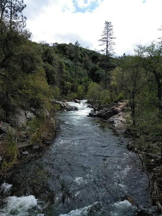 Pines Campground Picture 7