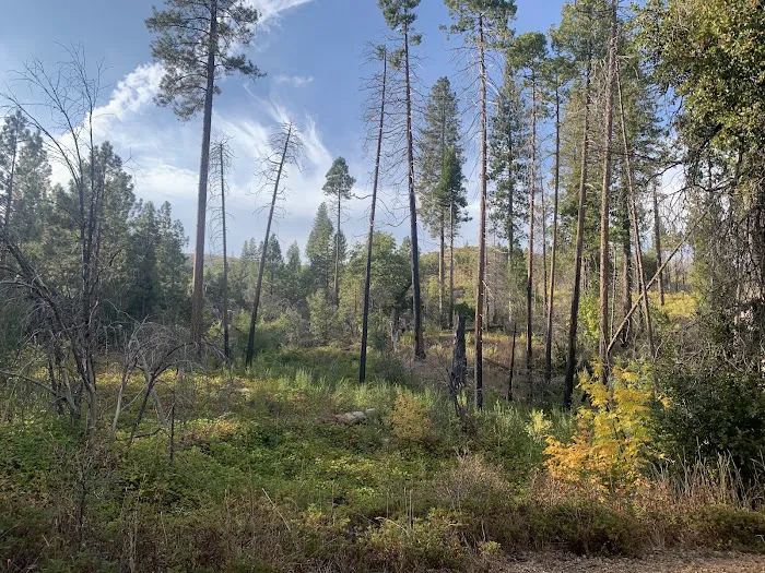 Lost Claim Campground Picture 3
