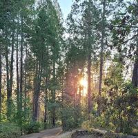 Lost Claim Campground ico