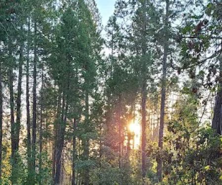 Lost Claim Campground