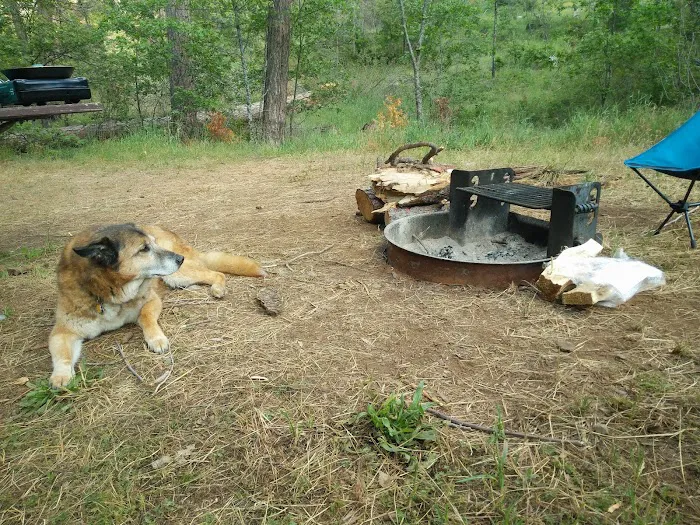 Lost Claim Campground Picture 10