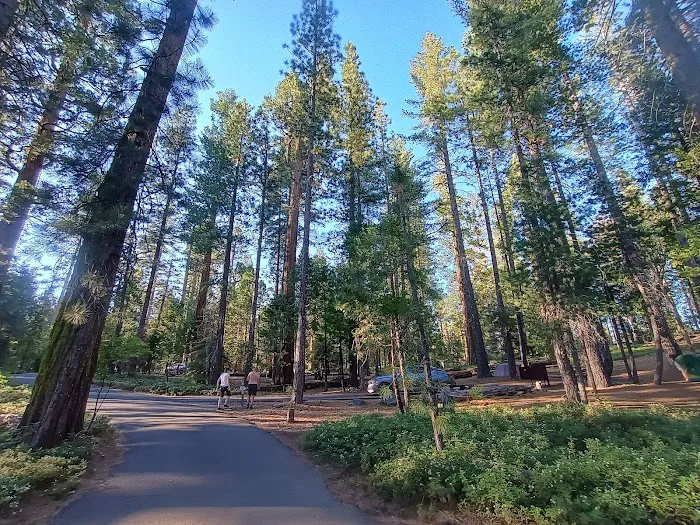 Cherry Valley Campground Picture 3