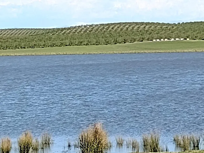 Water Sid Campground Picture 2