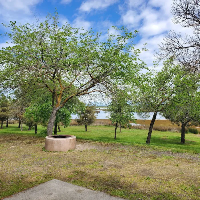 Blonde Island Campground Picture 3