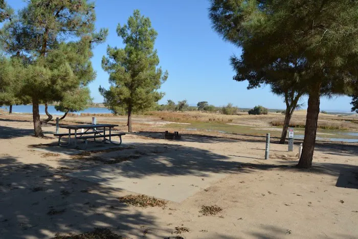 Blonde Island Campground Picture 7