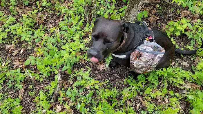 Oak Terrace Mobile Home Park, LLC. Picture 6