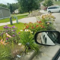 Willow Ridge Mobile Home Park ico