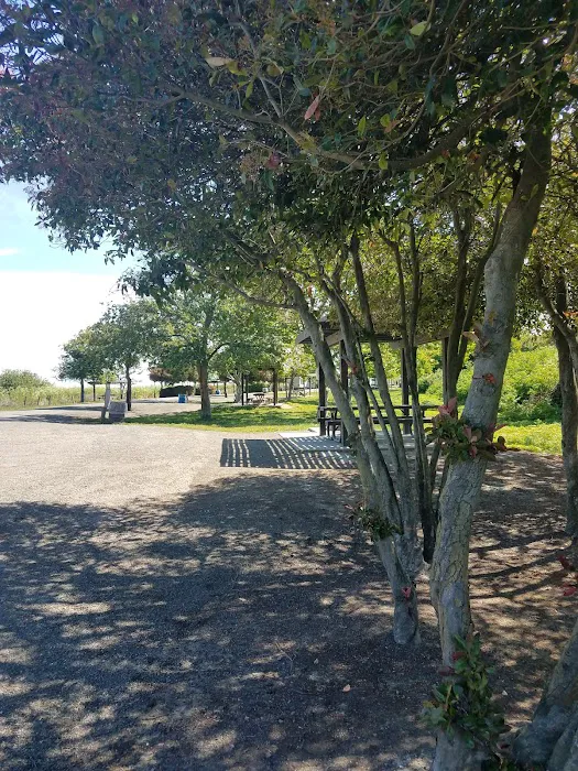 Westgate Landing Campground Picture 10