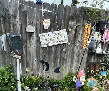 Driftwood trailer park