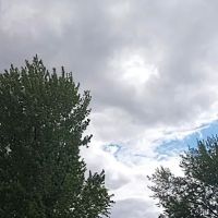 Maplewood Manufactured Home Community ico