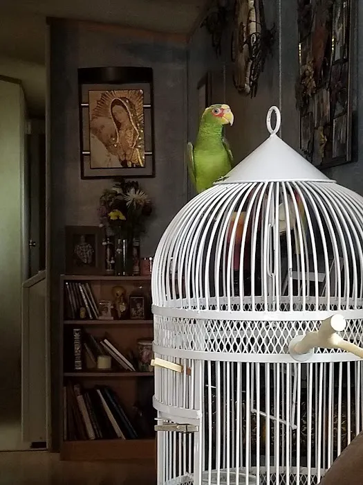 Maplewood Manufactured Home Community Picture 9