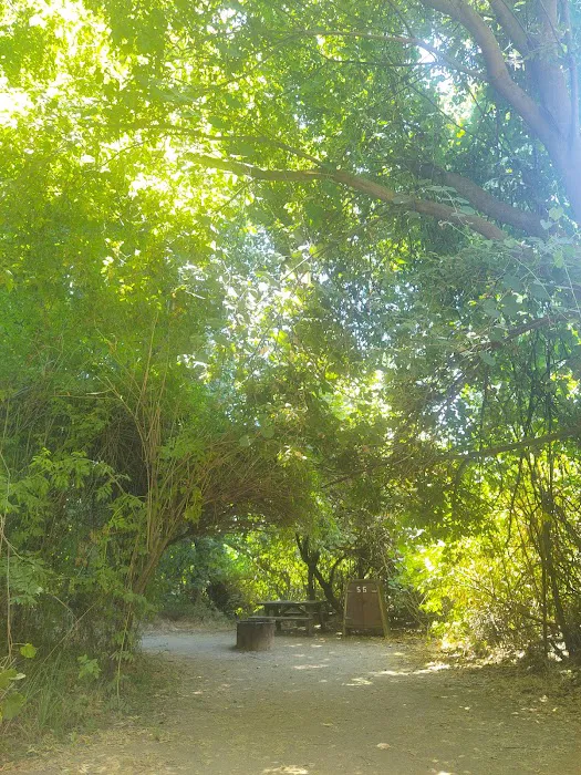 Caswell Memorial State Park Campground Picture 3