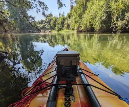 Caswell Memorial State Park Campground