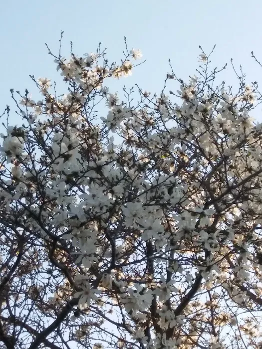 Rocky Creek Estates MHC Picture 6