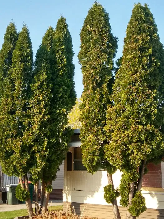 Rocky Creek Estates MHC Picture 9