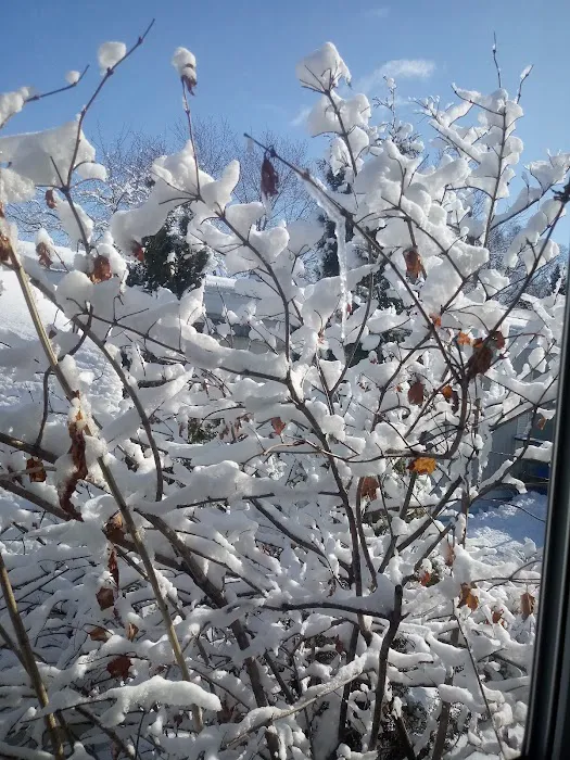 Rocky Creek Estates MHC Picture 10