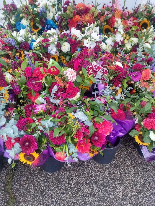 Rocky Creek Estates MHC Picture 8