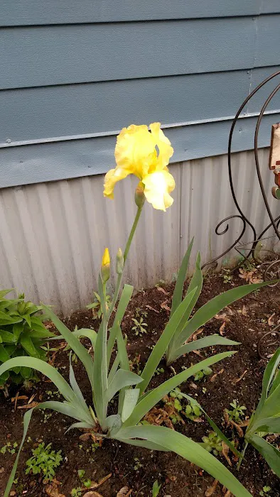 Hallmark Terrace Picture 1