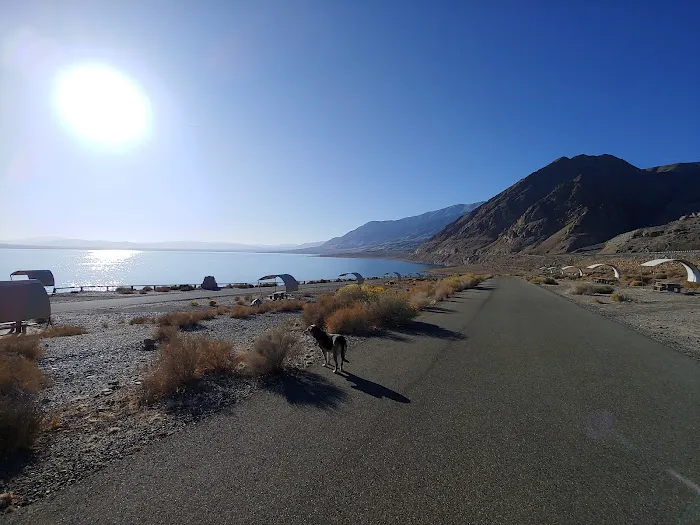 Sportsman's Beach Campground Picture 5