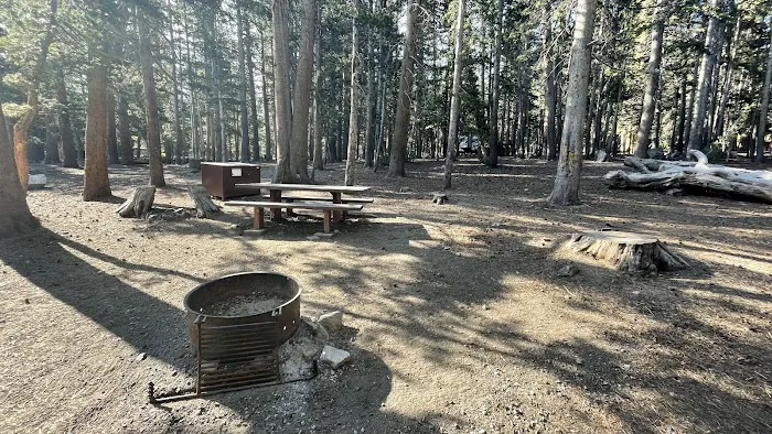 Trumbull Lake Campground Picture 1