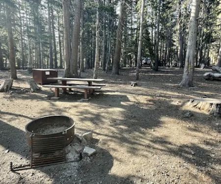 Trumbull Lake Campground