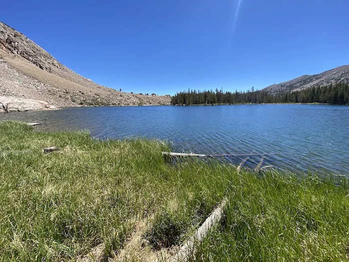 Trumbull Lake Campground Picture 2