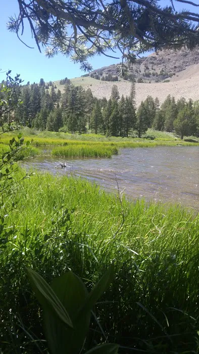 Trumbull Lake Campground Picture 7