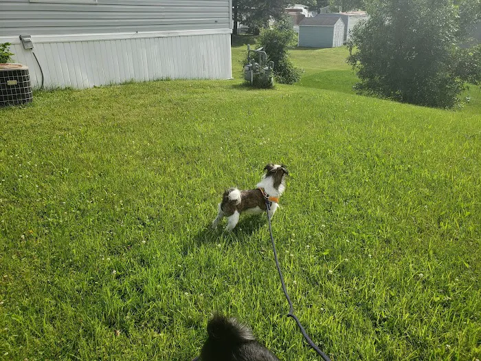 Southern Hills Picture 10