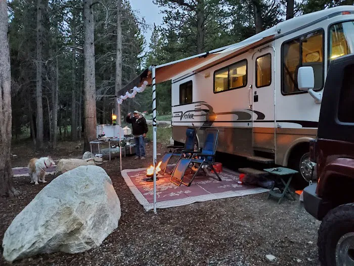 Upper Virginia Creek Primitive Campground (recgovnpsdata) Picture 1