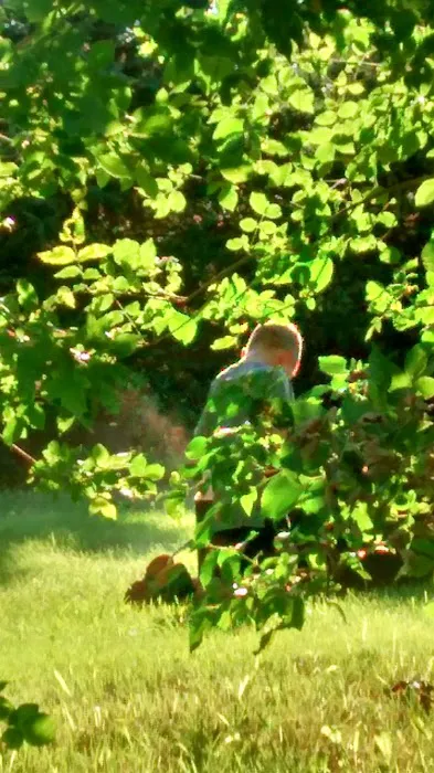 Tilly's American Travelers Rv Park Picture 5