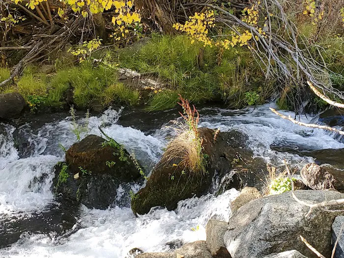 Lundy Canyon Campground Picture 5