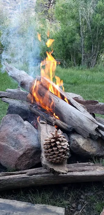 Lundy Canyon Campground Picture 3