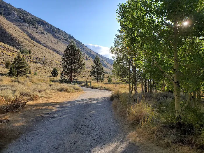 Lundy Canyon Campground Picture 4