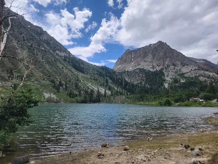 Lundy Canyon Campground Picture 7