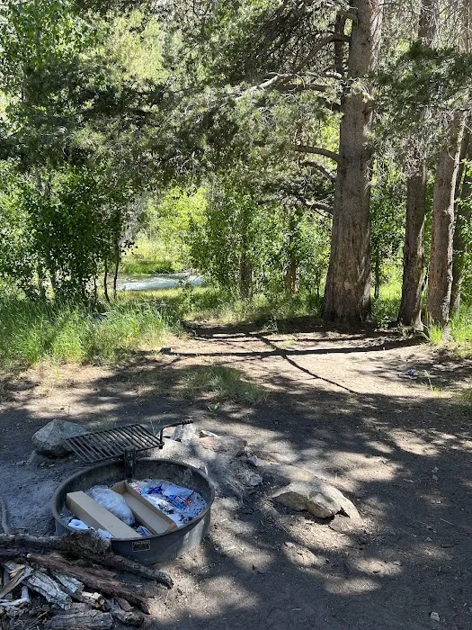 Lundy Canyon Campground Picture 6