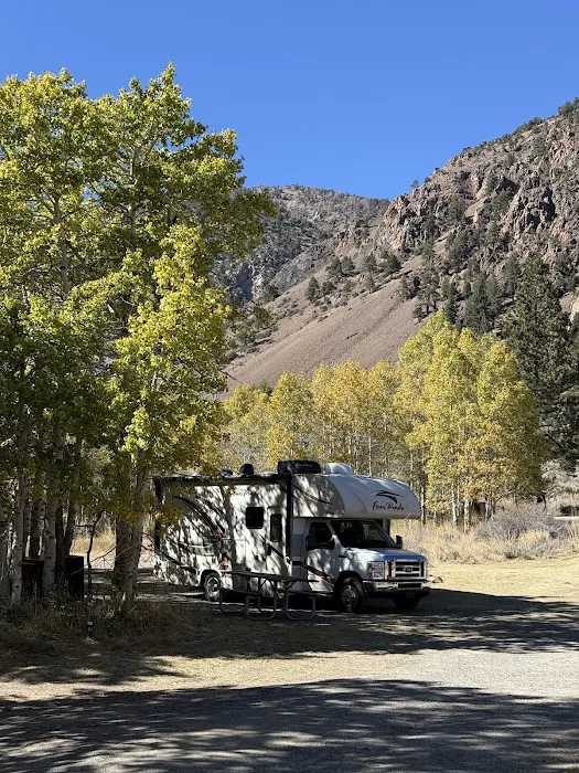 Lundy Canyon Campground Picture 8