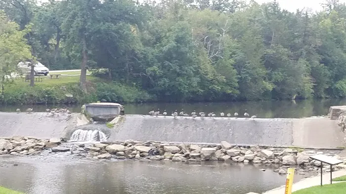 Stussy RV Park Picture 9