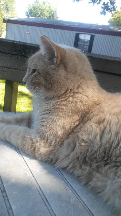 Royal Court Picture 2